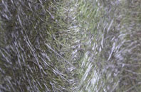 Arthington fibreglass roof work